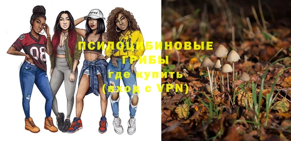 скорость Белокуриха
