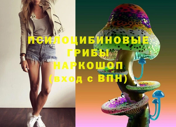 скорость Белокуриха