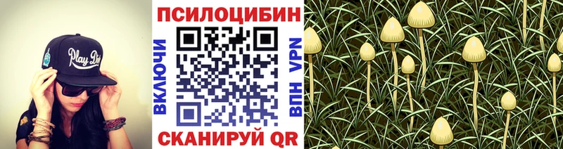 продажа наркотиков Кумертау Псилоцибиновые грибы Psilocybine cubensis